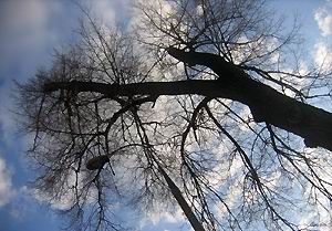 В объятиях